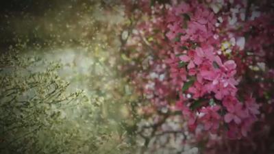 Air quality worsens as allergy season comes to an end