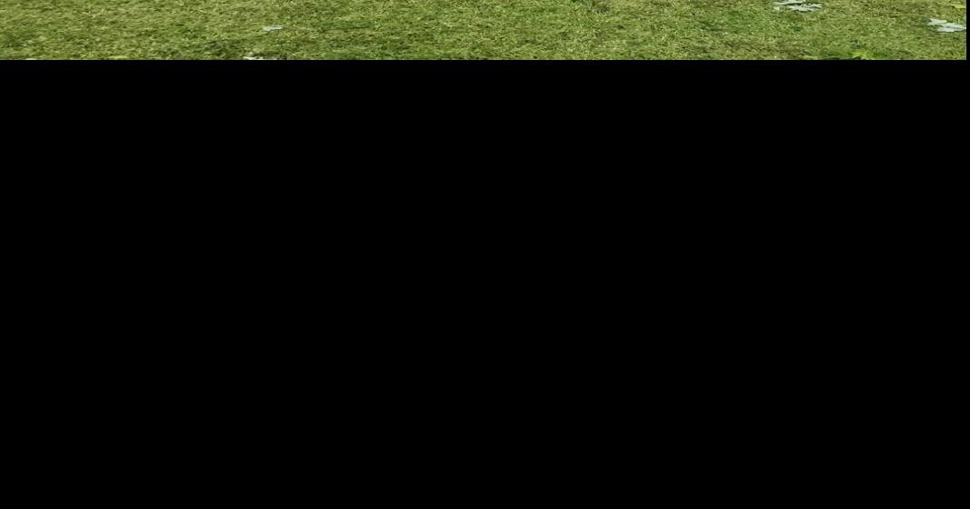 Village of Chatham issues State of Emergency Top Stories