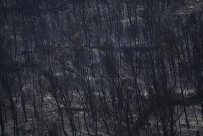 APTOPIX France Fires