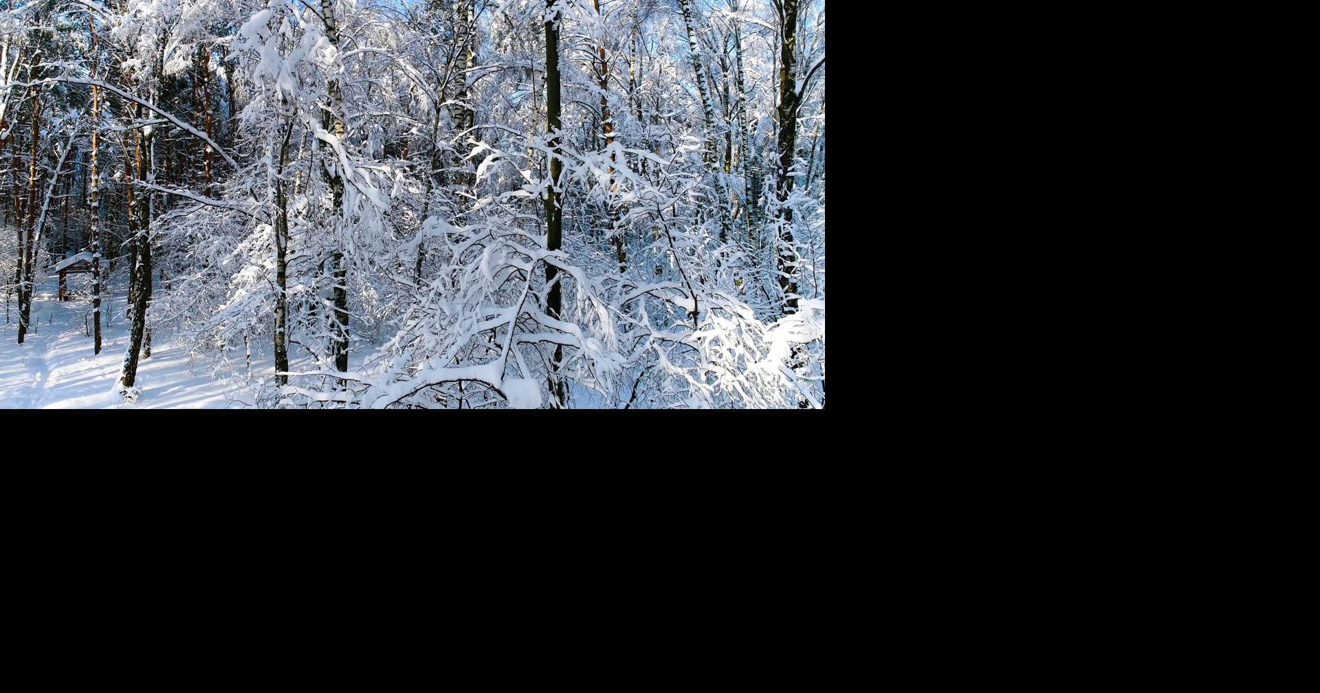 Illinois officials stress readiness during National Winter Weather Preparedness Week