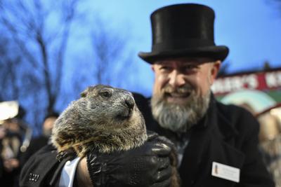 ODD-Punxsutawney Phil-Groundhog Babies