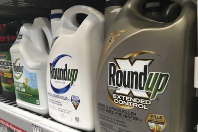 Roundup Weed Killer