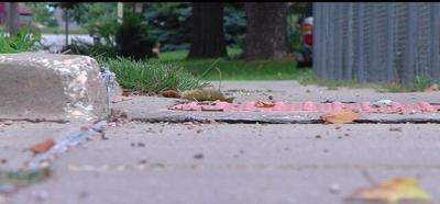 Champaign leaders call on the community's help following a deadly shooting