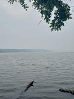 Smoke Sky- Lake Decatur at Whitmore Park.jpg