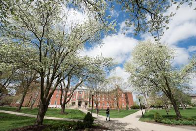 Illinois State University named 'Great College to Work For'