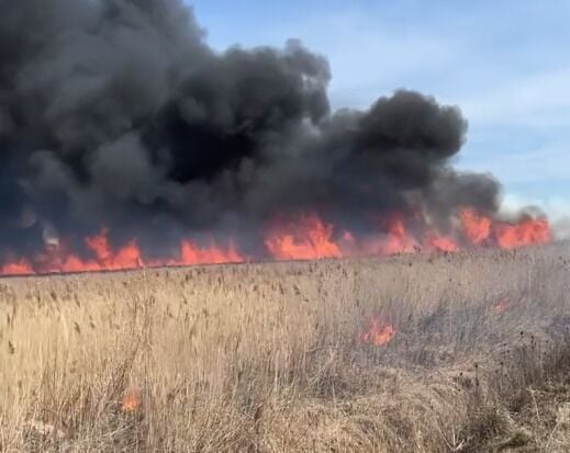 Oakley prescribed burn