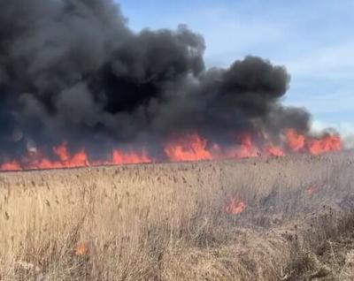Oakley prescribed burn