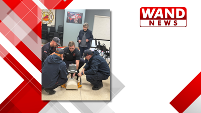 LUCAS chest compression system