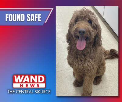 Tess Goldendoodle - 1