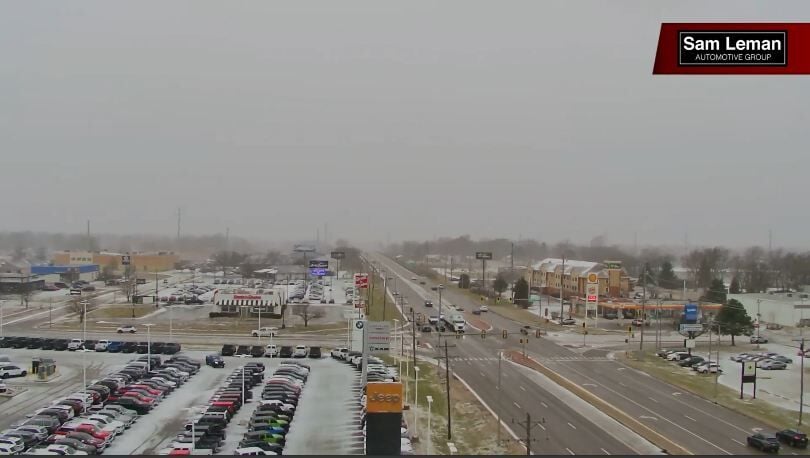 SNOW SQUALL BLOOM.JPG