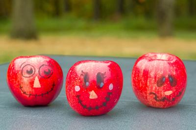 Fall Harvest Festival at Rock Springs