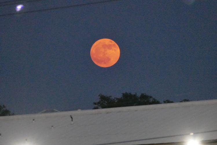 Strawberry Moon
