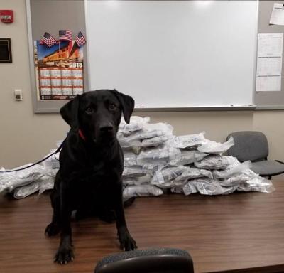 42 pounds of marijuana seized in traffic stop