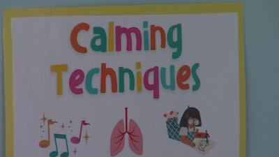 Community Foundation of East Central Illinois grants help area nonprofits