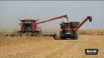 Agribusiness Today: Champaign County farmers give harvest update