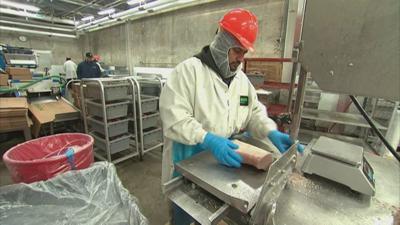 Pork recall