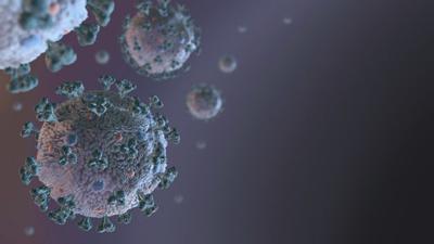 Coronavirus