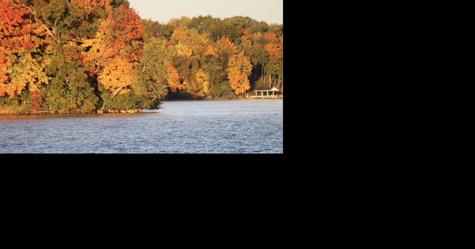 Fall Foliage Freezing weather may impact fall foliage timeline