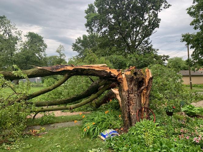 Auburn storm damage 5