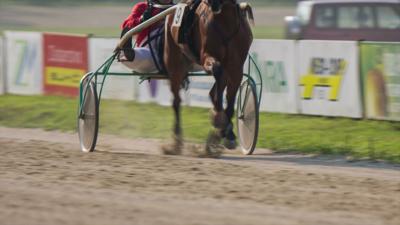 Harness racing generic