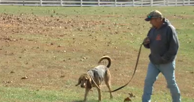 Ron's Bloodhound Services.PNG