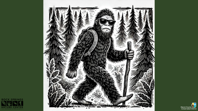 Bigfoot Hike