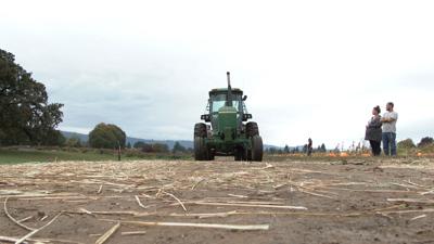 Tractor hay ride