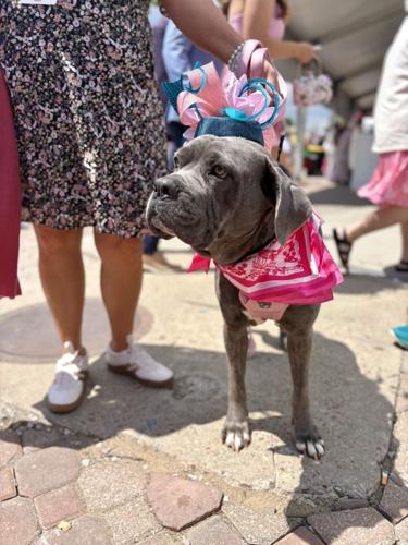 Kentucky Oaks 2026