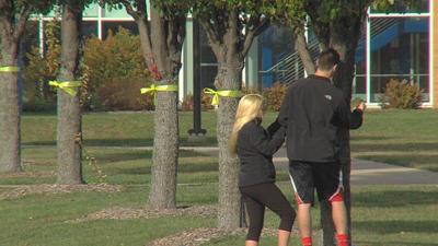 Each Ribbon; A Life in Service