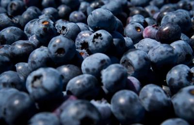 Blueberries