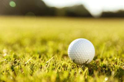 Golf ball generic