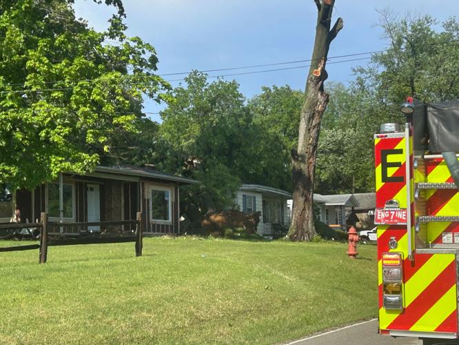 3900 block of Bayview Dr. tree down on house