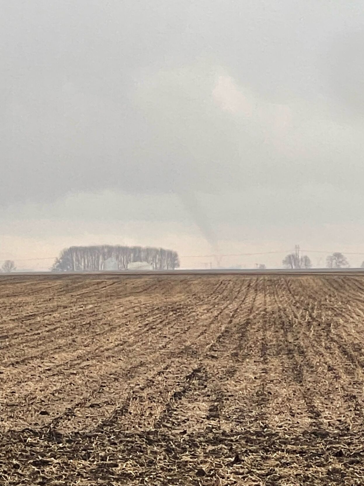 Tornado 1-3-23