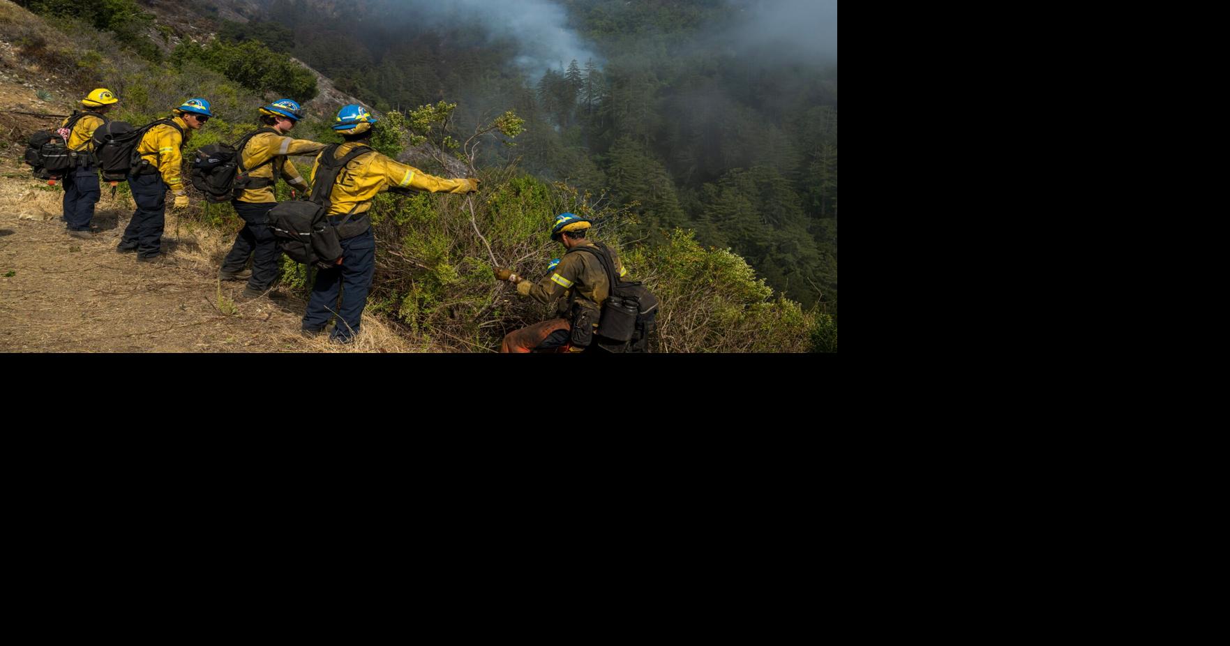 glutathione firefighters Officials warn wildland about the risks of using a supplement for smoke exposure skin smoothing cream A peptide gets discovered Flavor:20 Packets of Orange