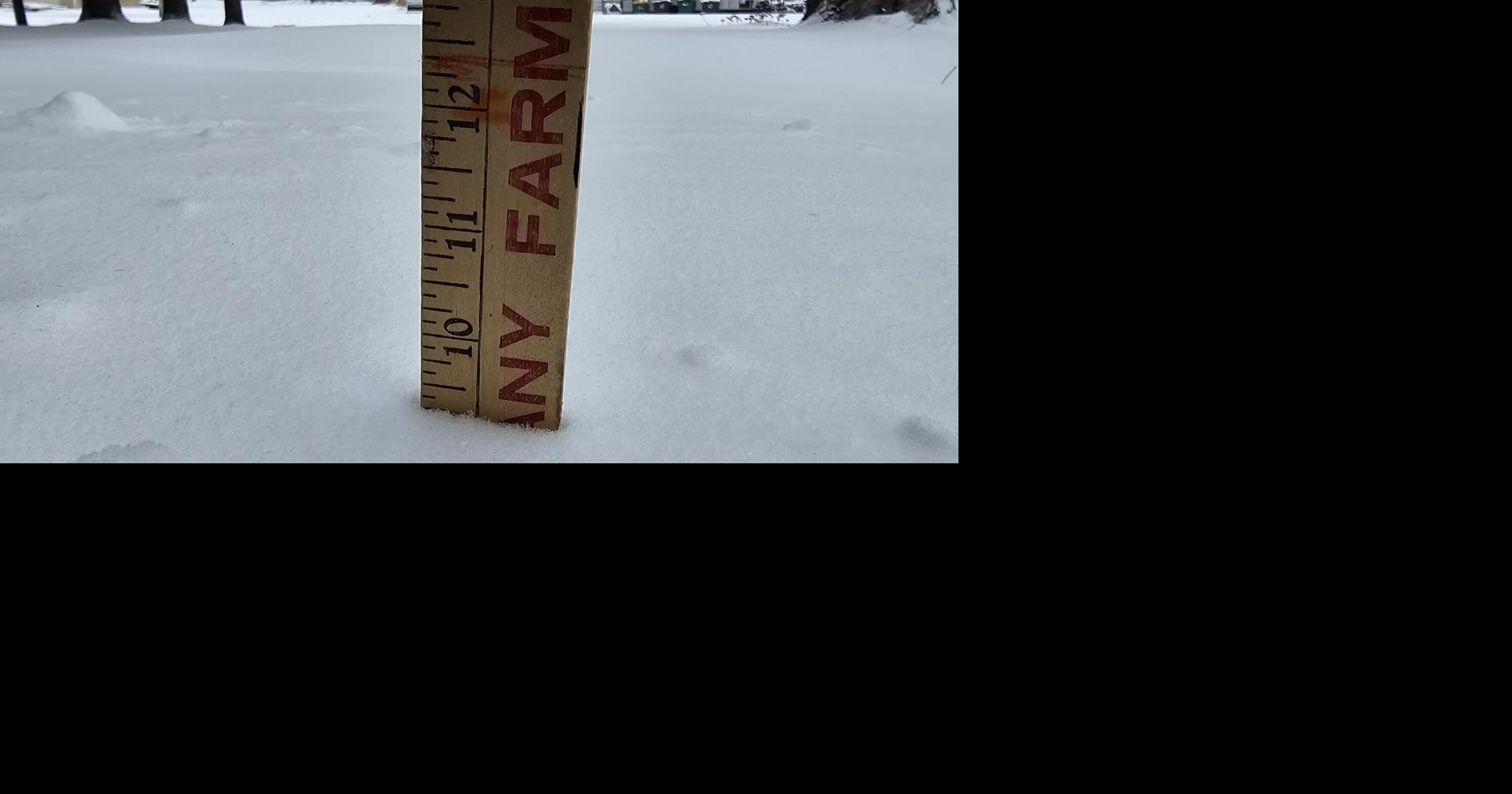 PHOTOS: Snow storm brings several inches of snow across central Illinois 1-25-26