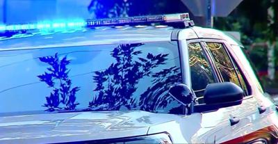 Triple homicide investigation