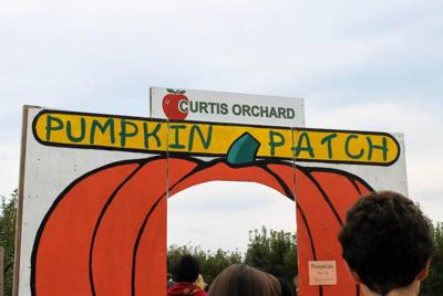 Curtis Orchard honey named “Best Tasting Honey in the World”