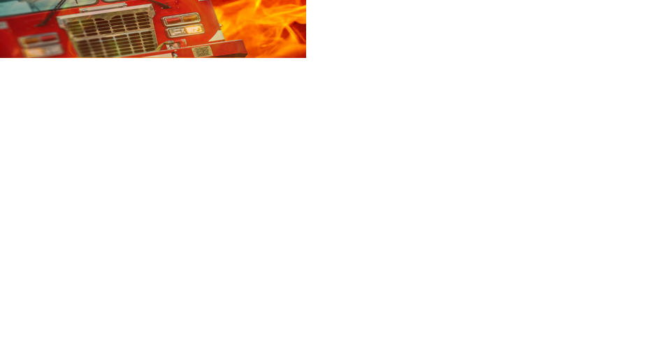 Two dogs killed in Decatur house fire - Vimarsana News
