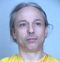 Illinois woman pleads guilty to charges related to domestic terrorism