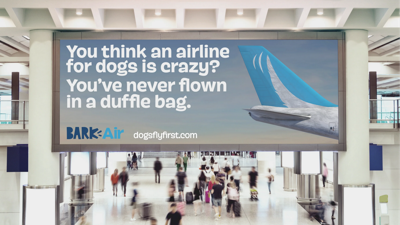 New airline designed for dogs to soon operate out of Chicago