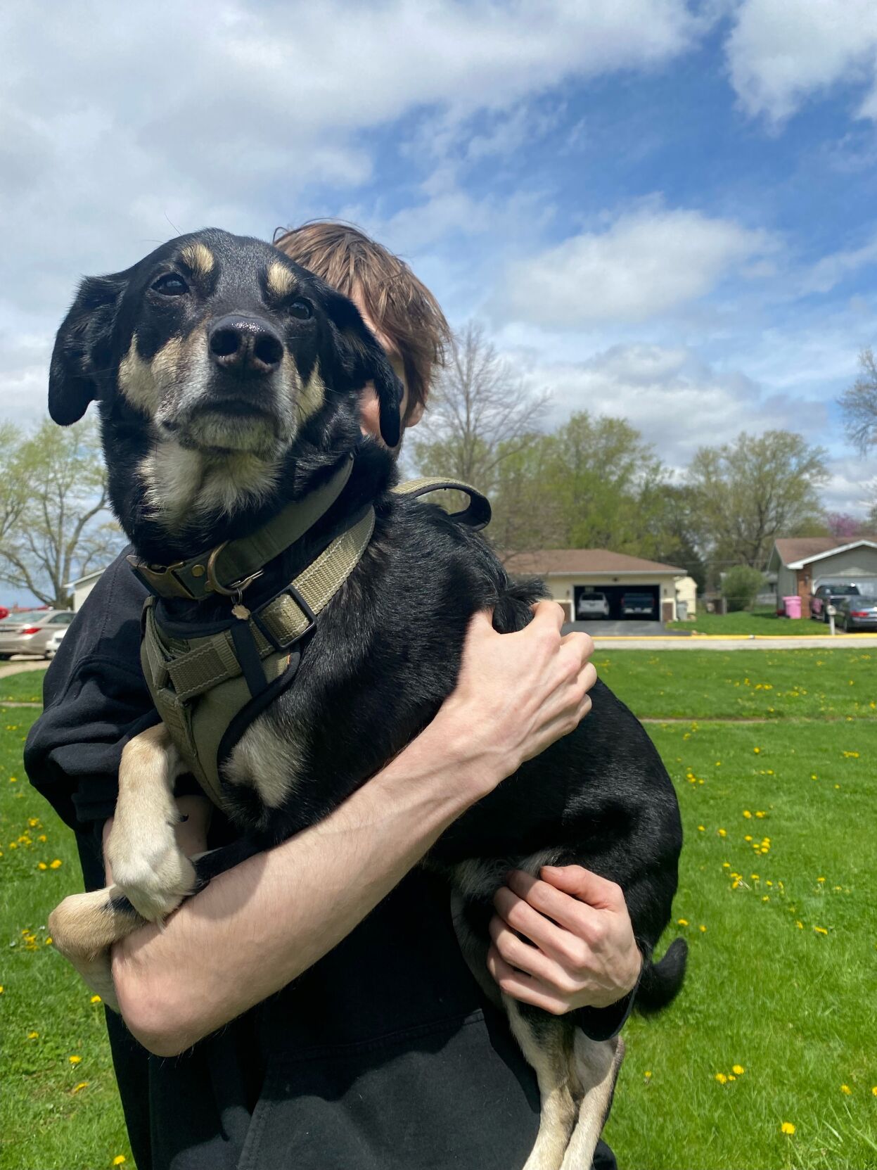 warrensburg fire dog