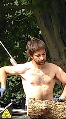 missing shelbyville.jpg