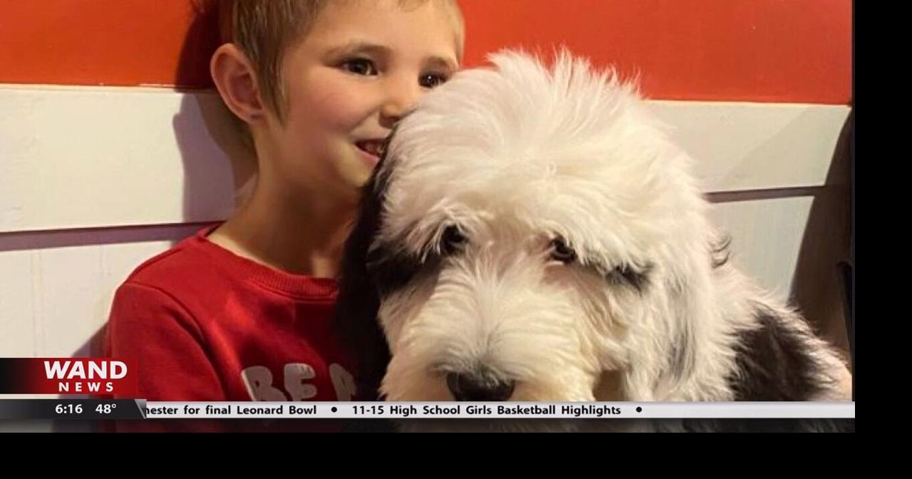 Family raises funds to adopt 6-year-old service dog |  Main stories