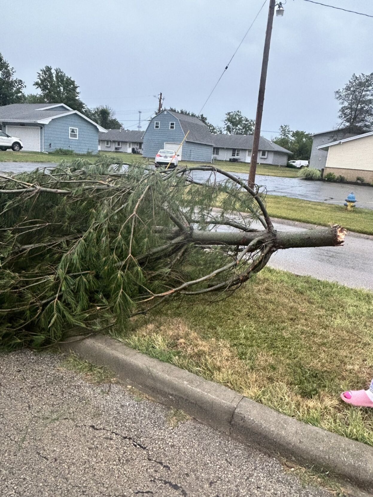 Severe Weather - Charleston