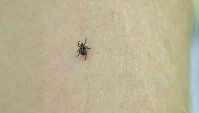 Tickborne illness confirmed in Illinois