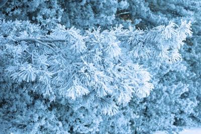 snow