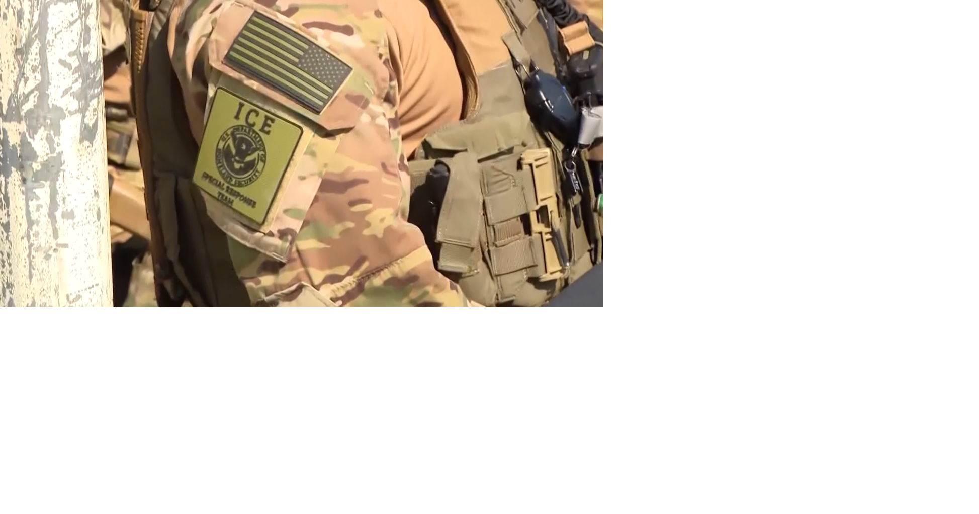 Champaign passes executive order on immigration enforcement in county