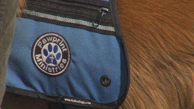 PawPrint Ministries celebrates 8th annual Party for the Paws
