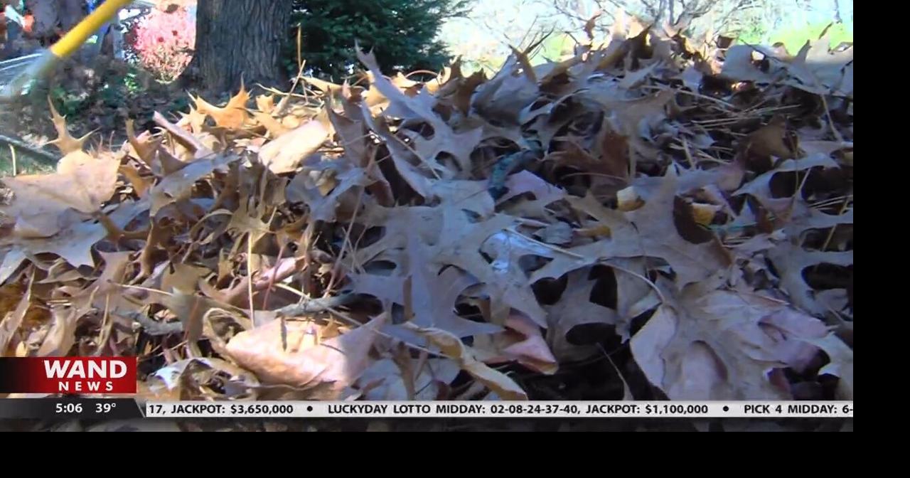 SGS students rake leaves in honor of veterans |  Community