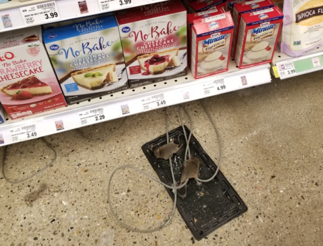 Kroger infestation 2.PNG